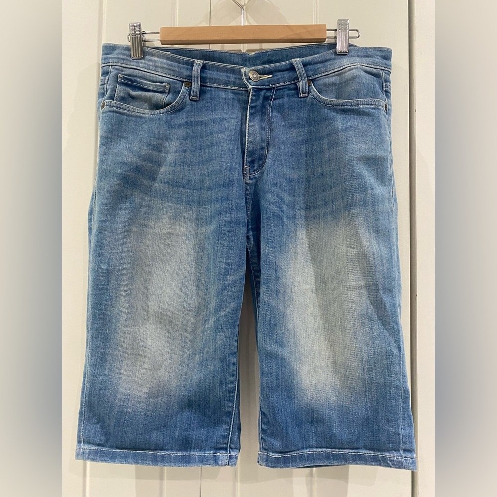 Dish denim shorts (Canadian brand!)